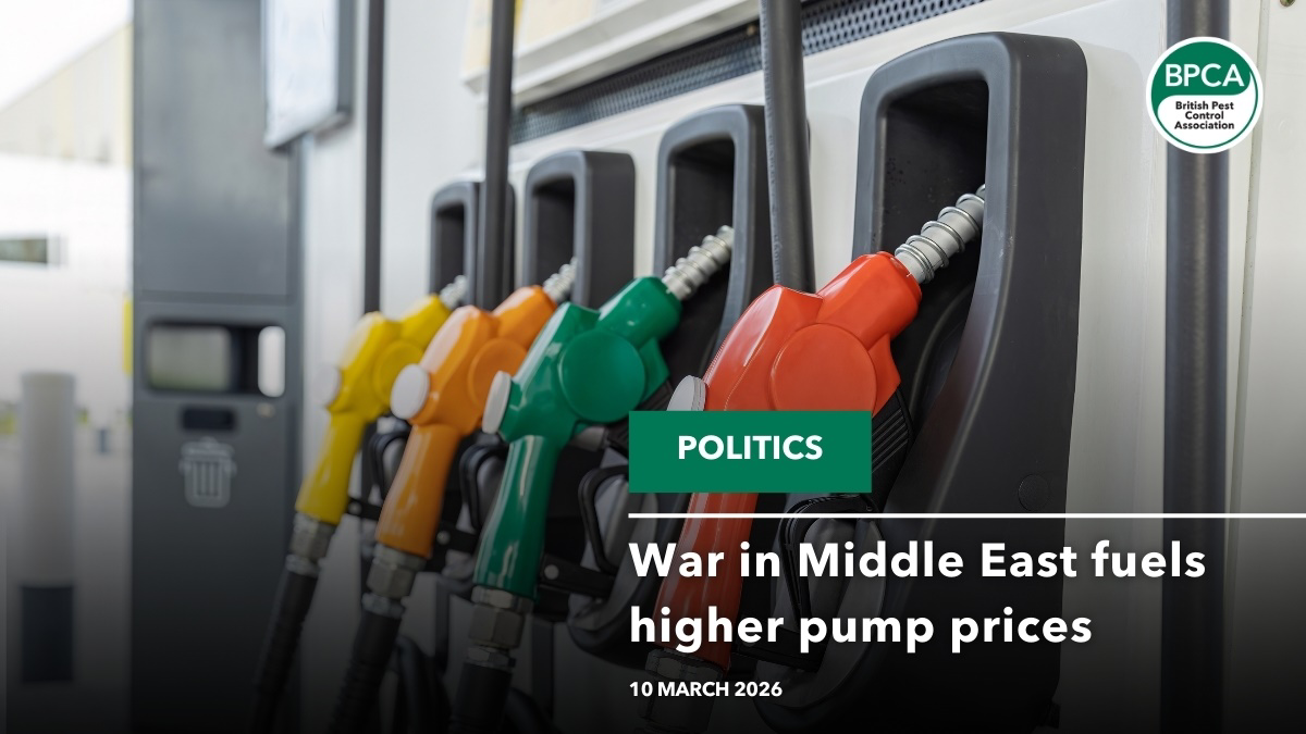 Chart showing impact of Middle East conflict on fuel and energy prices
